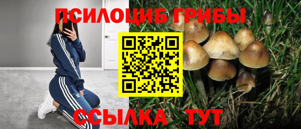 Псилоцибиновые грибы Cubensis  Галлюциногенные грибы Psilocybe  Вход с VPN  Ефремов 