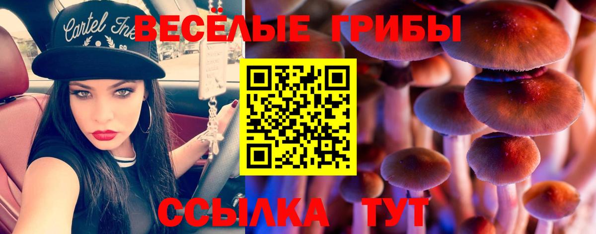 Псилоцибиновые грибы Magic Shrooms Ефремов